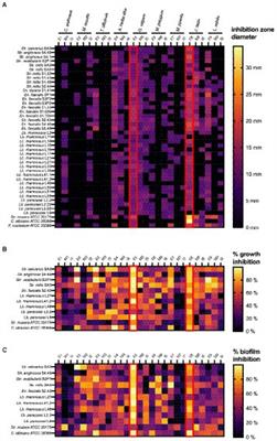 Origanum vulgare ethanolic extracts as a promising source of compounds with antimicrobial, anti-biofilm, and anti-virulence activity against dental plaque bacteria